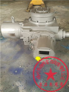 煙氣管道電動插板門執(zhí)行器dzw250 wt模擬量控制